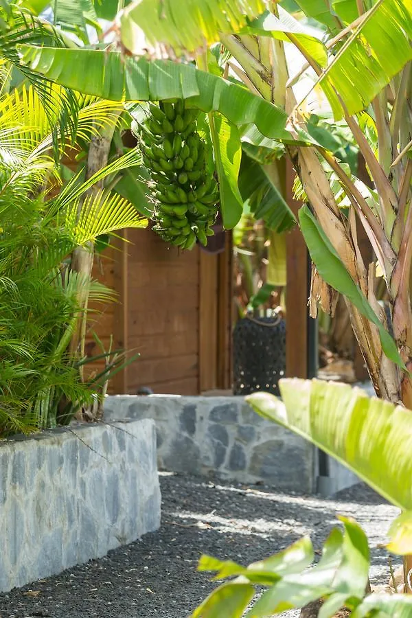 Lodge Iguana Ecolodge Saint-Francois  Guadeloupe