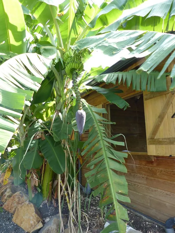 Iguana Ecolodge Saint-Francois  Lodge