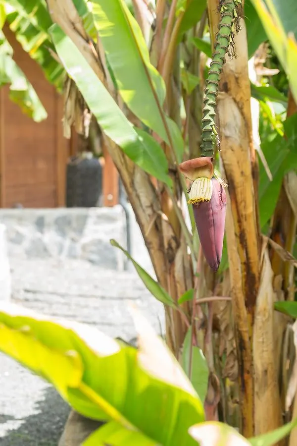 Iguana Ecolodge Saint-Francois