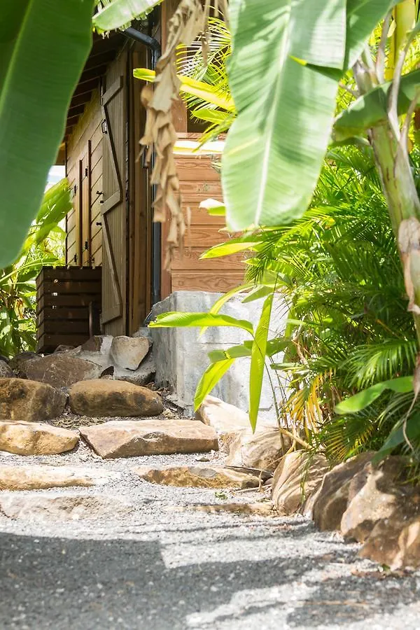 Lodge Iguana Ecolodge Saint-Francois